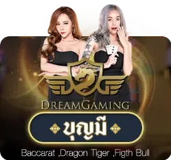 บาคาร่า (163)