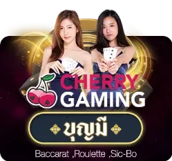 บาคาร่า (165)
